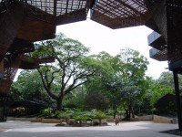 /album/fotogaleria/jardin-botanico-jpg1/